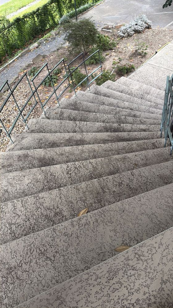 Concrete stairs before cleaning