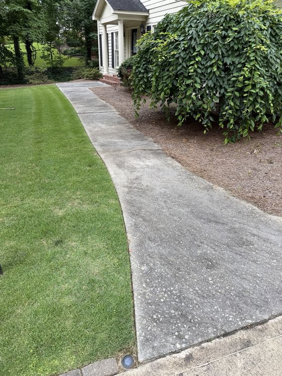 Concrete walkway before cleaning