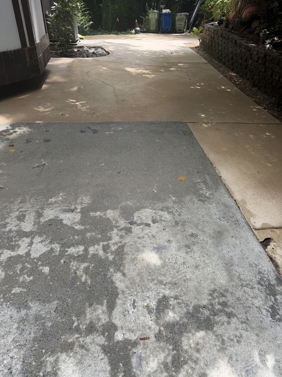 Driveway mildew removal after cleaning