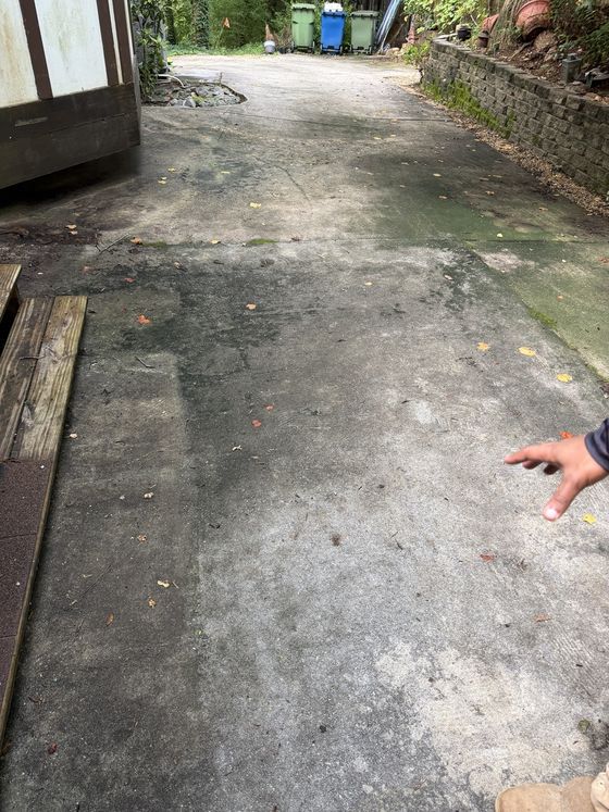 Driveway mildew removal before cleaning