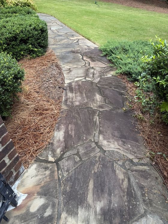Flagstone path before cleaning