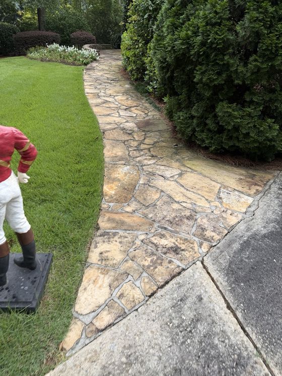 Flagstone walkway before cleaning