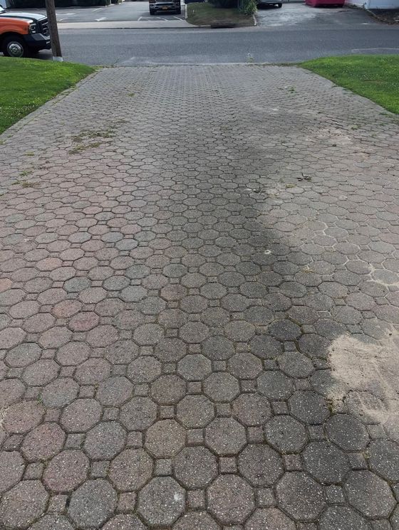 Paver driveway before cleaning