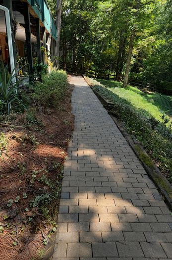 Paver path moss removal after cleaning
