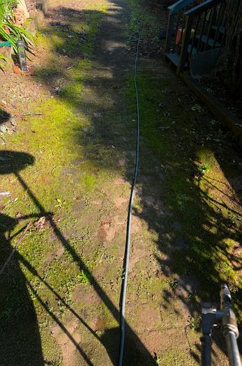 Paver walkway before cleaning