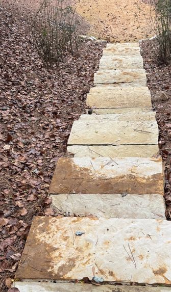 Stone steps after cleaning