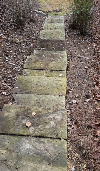 Stone steps before cleaning