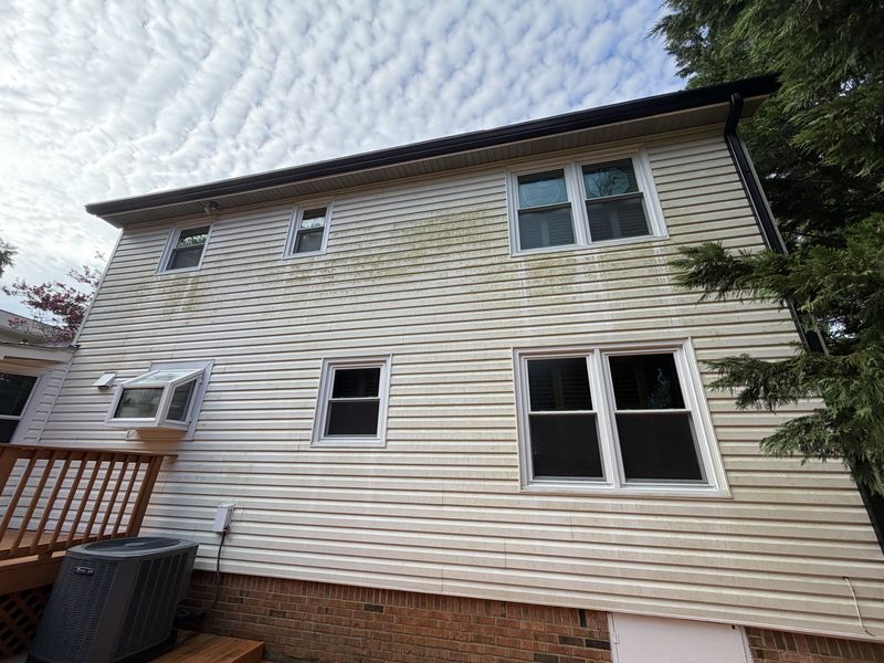 Vinyl siding house wash before cleaning