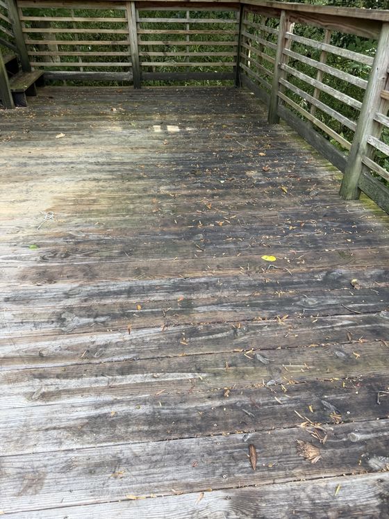 Weathered wood deck before cleaning