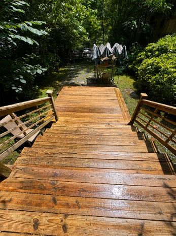 Deck & Fence Cleaning